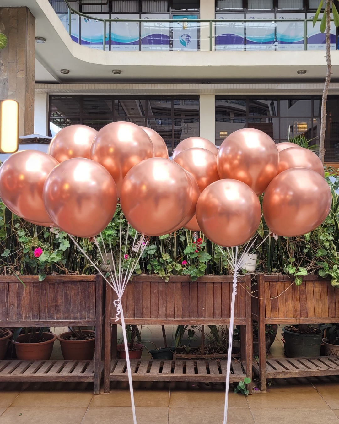 Latex Balloons