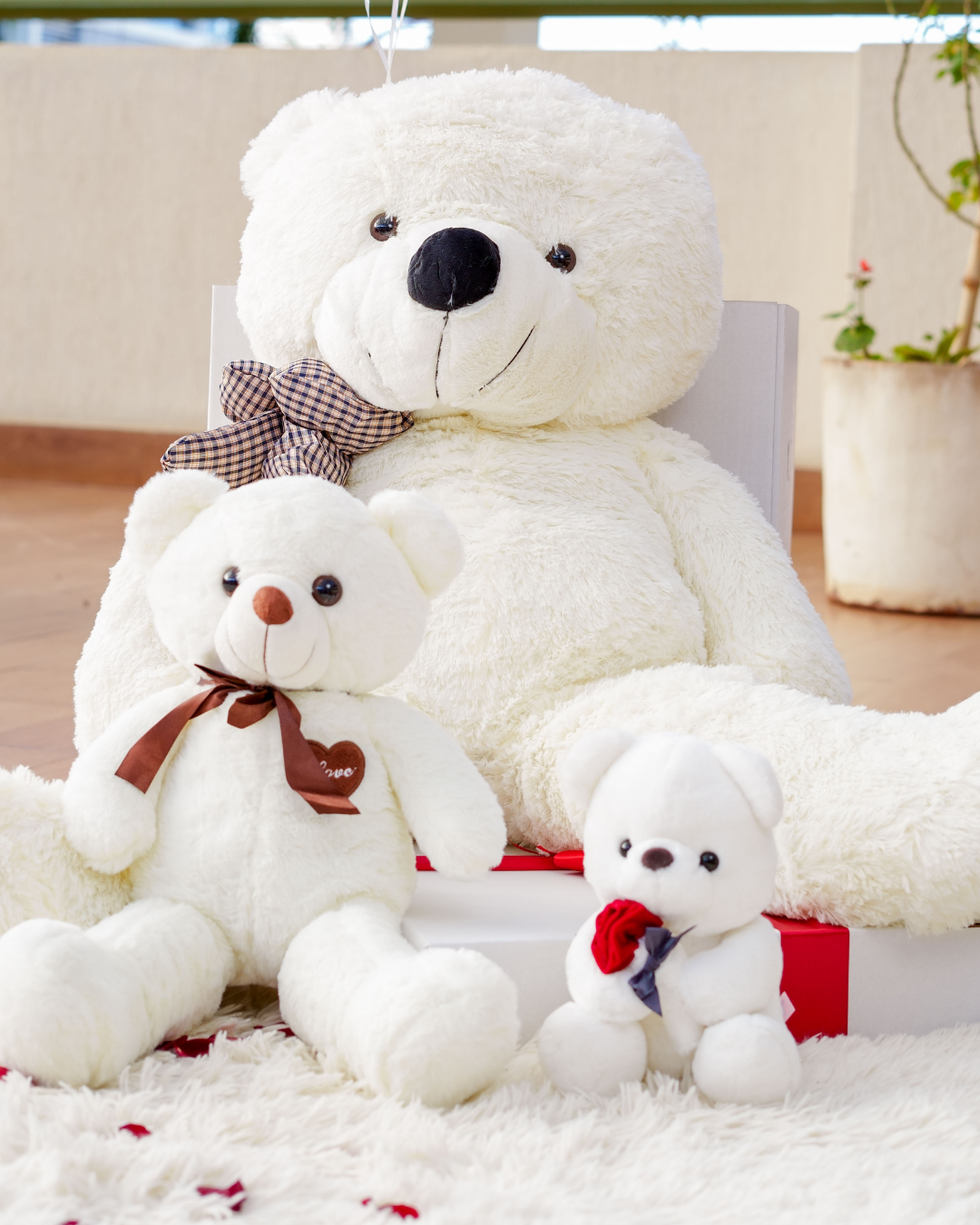 Teddy bear